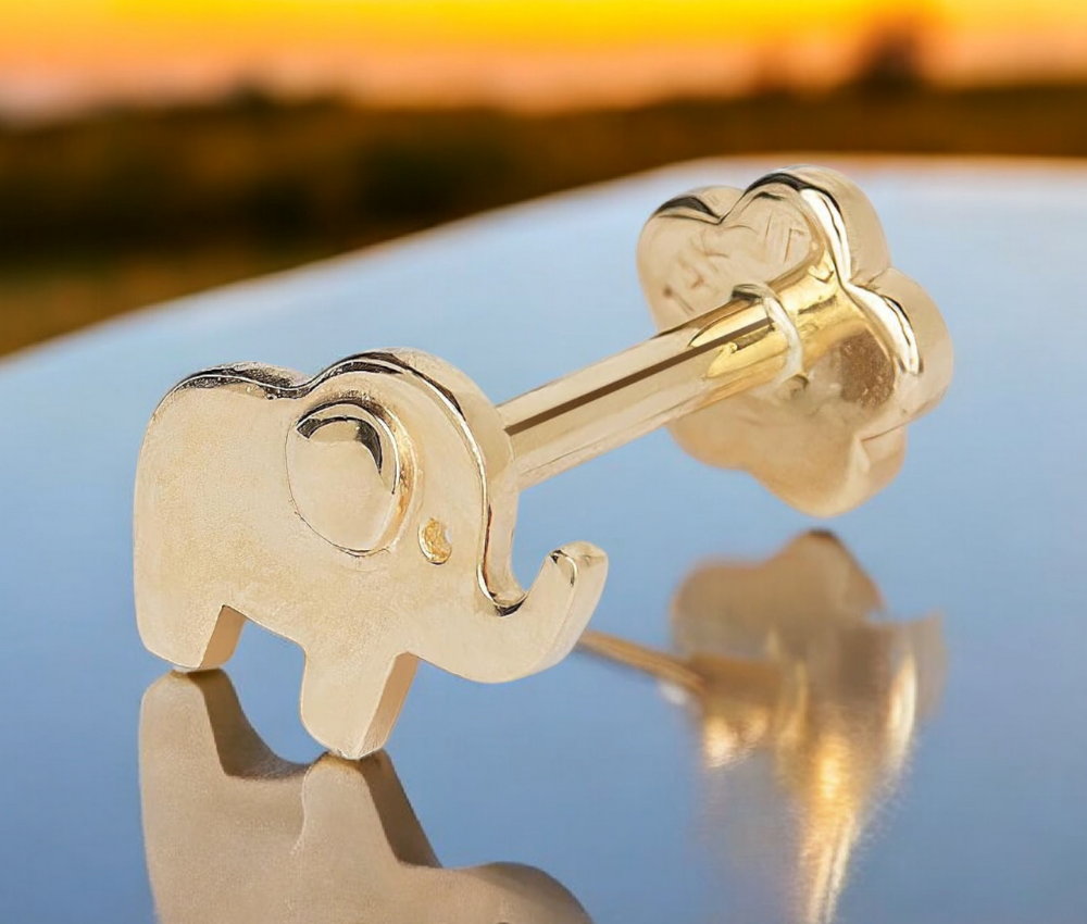 14k Yellow Gold 18G Cubic Zirconia Small Elephant Conch Tragus Helix Piercing - 7x6mm